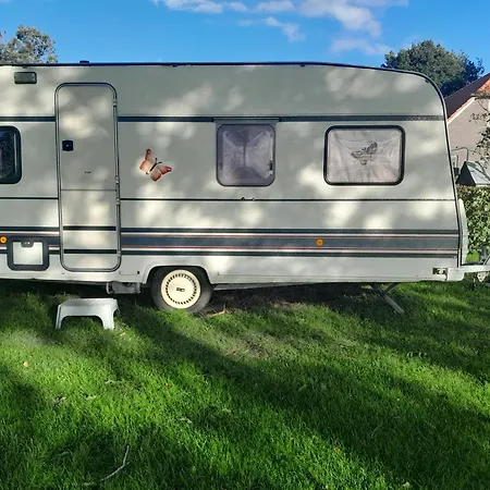 Caravan Vlinder Rouveen Room photo